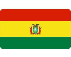 Buy 100 000 Consumer Bolivia Mobile Phone Number List Database