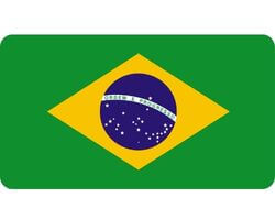 Buy Database 10,000,000 Active Brazil Mobile Phone Numbers