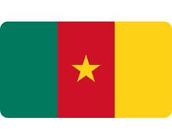 Buy 100,000 Active Cameroon’s Mobile Phone Numbers