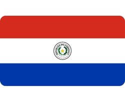 Buy Database 1,000,000 Active Paraguay Mobile Phone Numbers