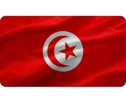Buy 1 Million Consumer Tunisia Mobile Phone Number List Database