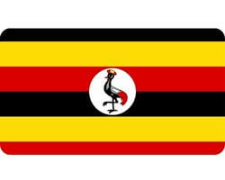 Buy 120 000 Clairvoyance enthusiasts Consumer Uganda Mobile Phone Number List Database