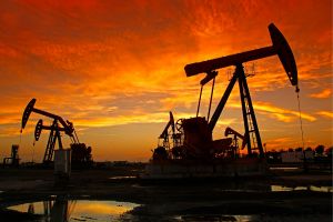 Buy 335 Business Oil gas and derivatives production Mobile Phone Number List Database India