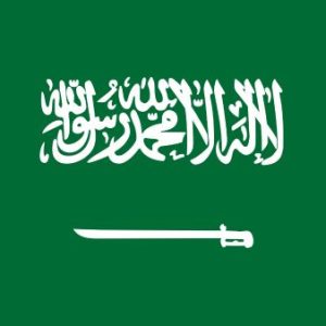 Buy Saudi Arabia Business and Consumer Mobile Phone List Database